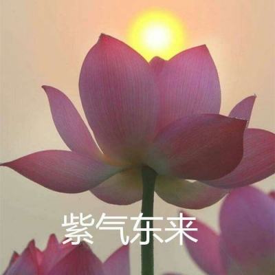 途龙之刃官方版下载