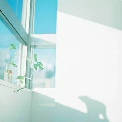 动物餐厅下载taptap版